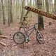 DSCN0677