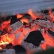 grillen filmgruppe 2