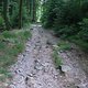 Taunus