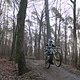 IMG 1459
