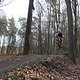 IMG 1468