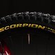 Die vier neuen Pirelli Scorpion Race-Reifen sollen die perfekte Wahl für Enduro- und DH-Rennen sein.