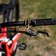 MTBNews