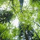 Zumindest im Wald von Bielsko Biala hat Grün die absolute Mehrheit.