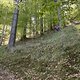 IMG 1401