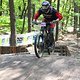 IMG 5113