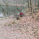 DSCF3211