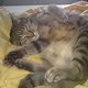 DSC00152-klein