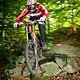 Rosstrappe-Downhill Thale (Harz)