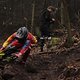 IMG 7739