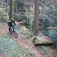 IMG 2872 klein