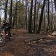 IMG 1778