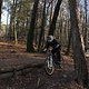 IMG 1737