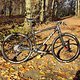 Scott Scale RC Custom Uphill Race Bike 5464g
FOR SALE!!!
