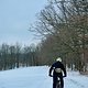 Winterpokal-Aktivität
