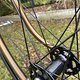 IMG 7980