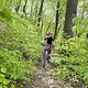 IMG 7931