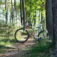 1989 Tom Ritchey P-23 Team Prototyp Magazine Bike - Ride D
