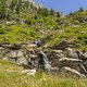 IMG 4618