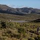 weiter geht es Richtung Melozhori Wild Reservat - Foto von Karin Schermbrucker-Cape Epic-SPORTZPICS