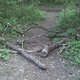 2012-05-07 19-37-49 228