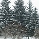 CIMG0562