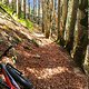 Rohrmoos Trail