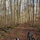 Winterpokal-Aktivität