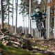 Bergab lädt das Privateer dazu ein, den Gashahn aufzudrehen.