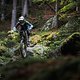 Lake-Bike-