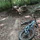 IMG 1749