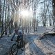 IMG 0585
