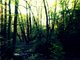 Trail entlang der Dammwiesen/Strausberg