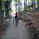 IMG 3340