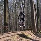 Bike Beerfelden P 224