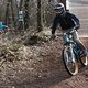 IMG 7205