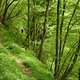 130509 Eltzbachtal17