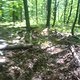 DSC01822