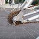 IMG 5031
