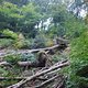 DSCF3749