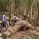 Steigerwald Biker Trails