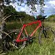 Cannondale M800 (2015)