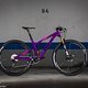 Trek Top Fuel Project One 2016