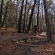 IMG 1771