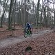 IMG 1165