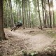 Weidlingbach Testride