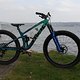 Trek Fuel Ex 2020