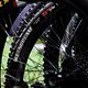 MTBNews