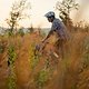 Sunset35 (MTB-News)