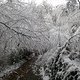 Winterpokal-Aktivität